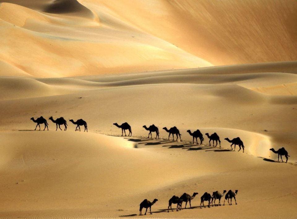 Do you know: UAE Heritage? 5 Do you know: UAE Heritage? 5