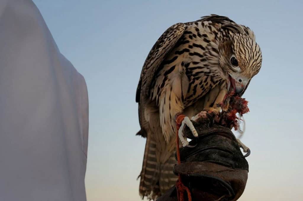 Do you know: UAE Heritage? 7 Do you know: UAE Heritage? 7